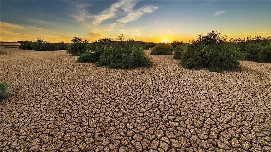 L’Afrique face à la crise climatique : entre vulnérabilité extrême et résilience émergente