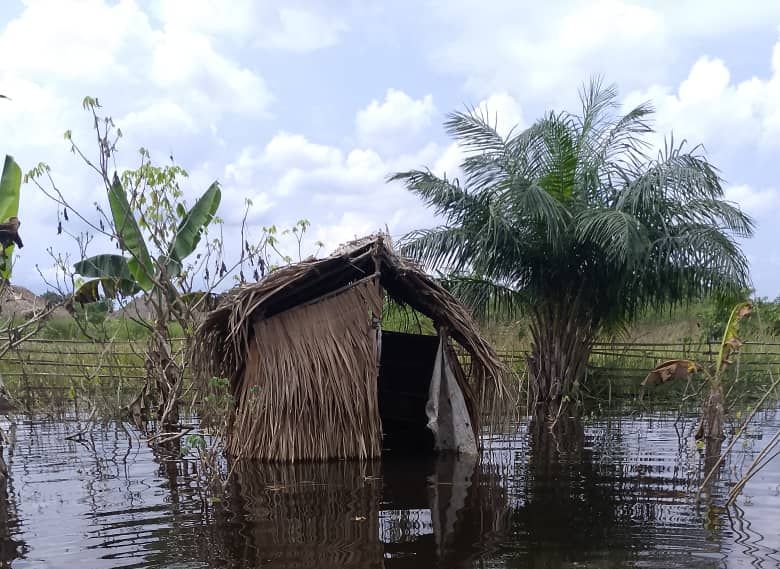 Sud-Ubangi : le Dr Doudou Lezose supplée un gouvernement provincial impuissant face aux inondations de Mbari
