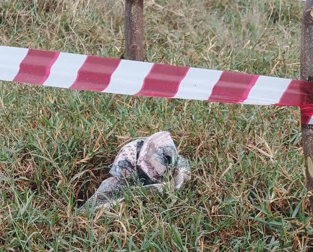 Ruwenzori : alerte sécuritaire après la découverte d’un engin explosif à Manzembe